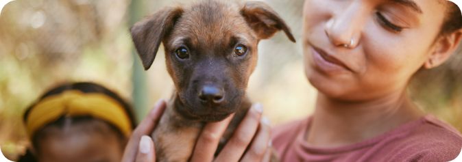 dog-woman-hands-holding-puppy-love-adoption-life-bonding-by-animal-shelter-happy-female-carrying-small-little-pup-hand-support-trust-loving-affection-pet-care-home